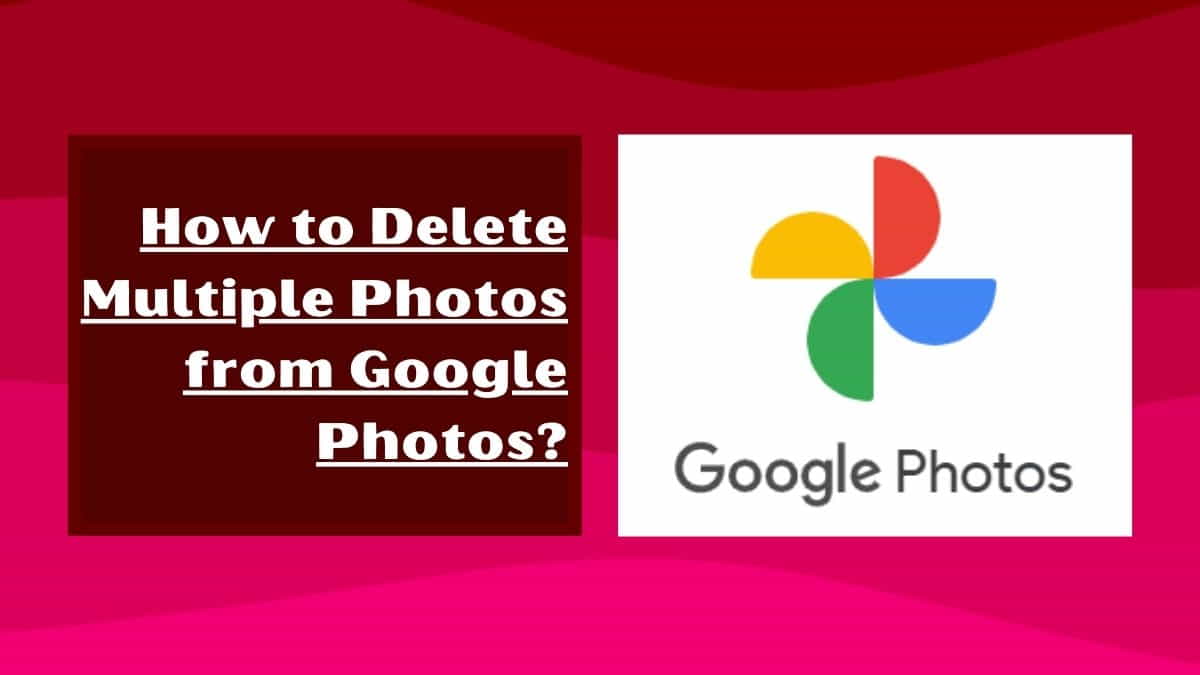 How to Delete Multiple Photos from Google Photos