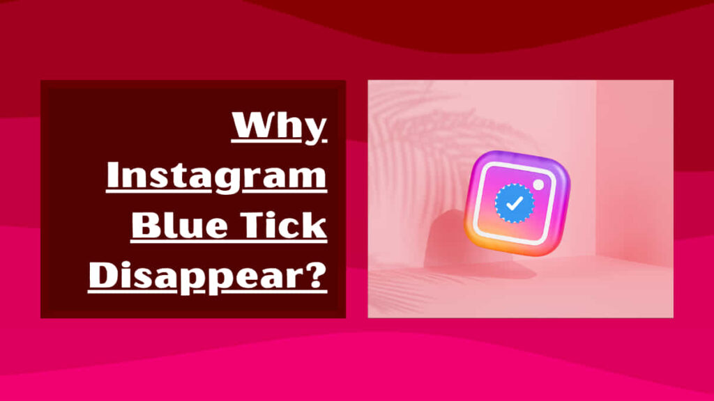 Why Instagram Blue Tick Disappear from my Account