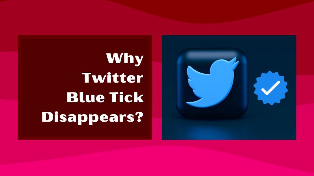 why twitter blue tick disappears?