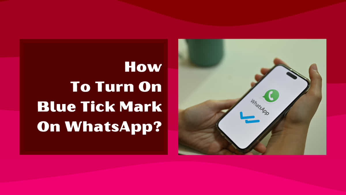 how to turn on blue tick mark on whatsapp