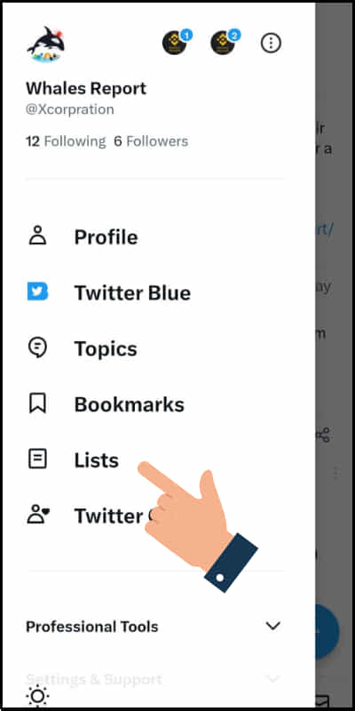 how to share twitter list