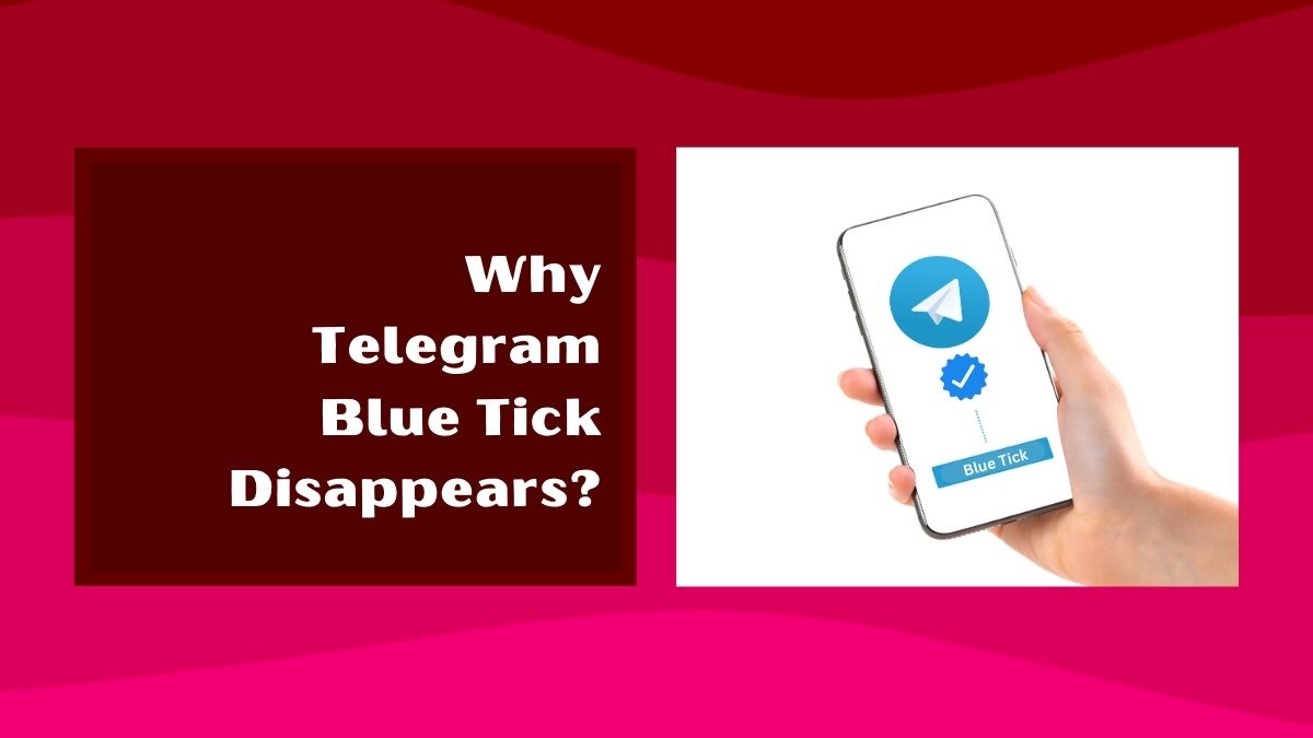 why telegram blue tick disappears